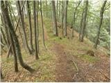 Dom Planica - Mojčin dom na Vitrancu